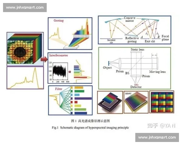 科娃vs光片全面对比解析性能优势与应用前景探讨趋势判断研究